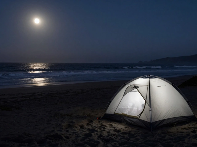 Is Wild Camping Legal in California? What You Need to Know About Beach Campsites