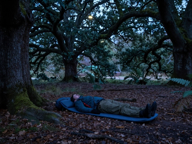Is It Safe to Sleep in a Forest Without a Tent? Risks, Rules & Tips