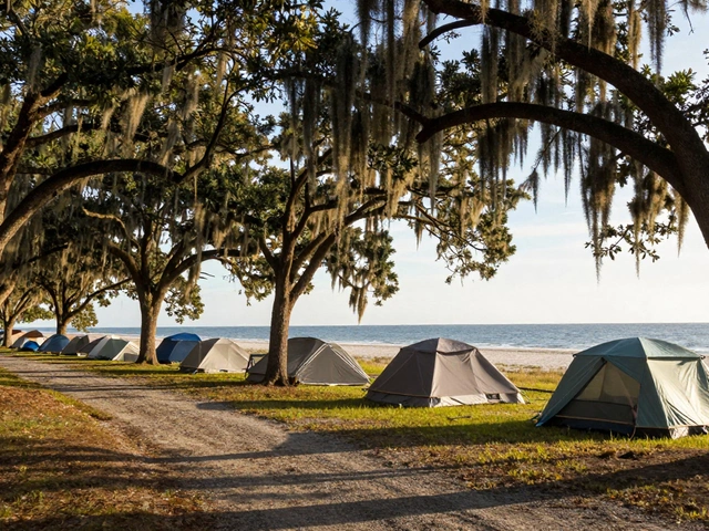 Where Can You Sleep on the Beach in South Carolina? A Complete Guide to Coastal Camping