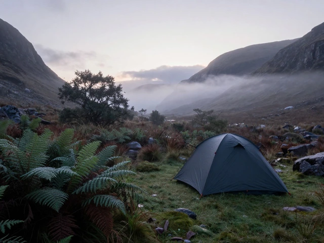 What Is Guerrilla Camping? The Ultimate Guide to Wild, Free & Legal Camping
